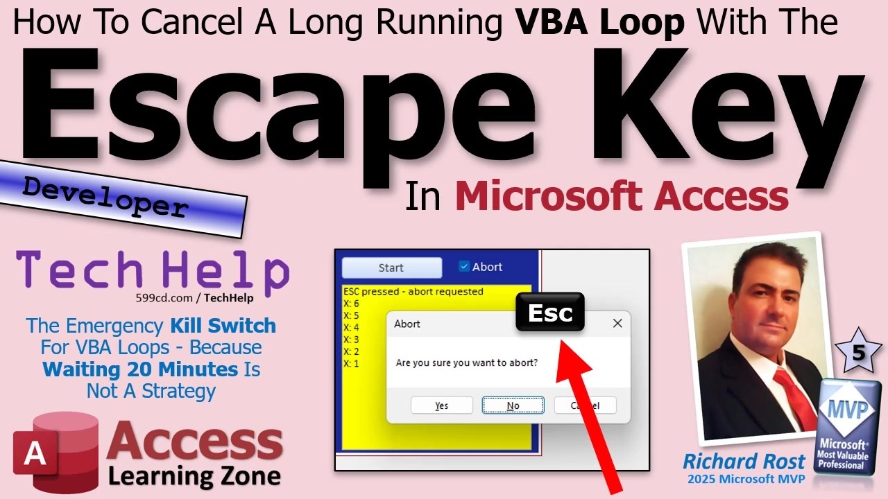 How To Cancel A Long Running VBA Loop With The Escape Key In Microsoft Access