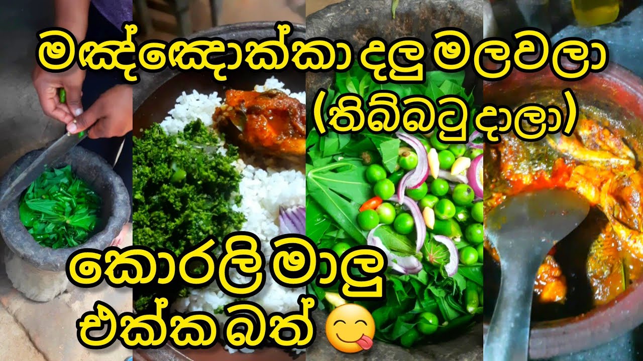 මඤ්ඤොක්කා කොල මැල්ලුමයි කොරලි මාලුයි එක්ක බත් කමු 😋  #ගමේකෑම #srilanka #villagefoodplate 