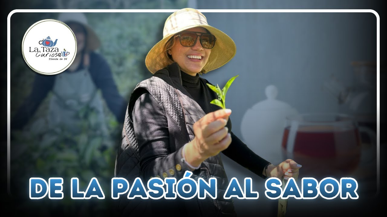 CASO DE ÉXITO EN LA INDUSTRIA DEL TÉ - YAKAIRA MEJÍA