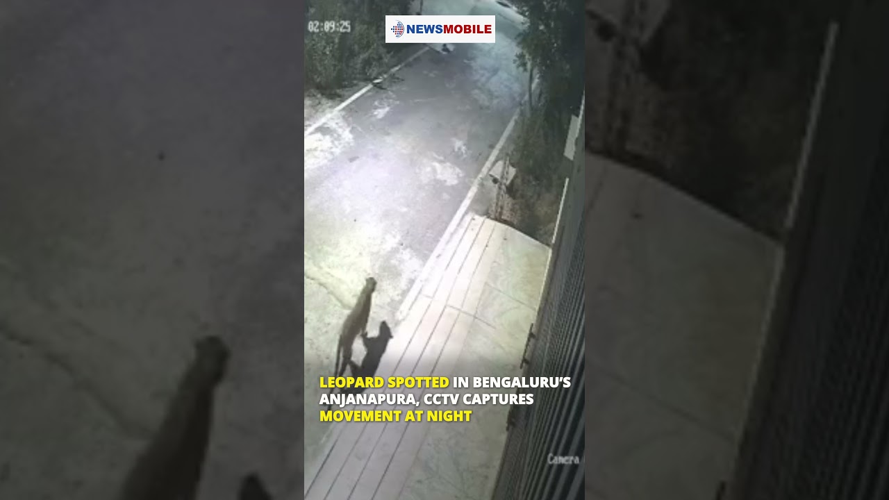Leopard Spotted in Bengaluru&rsquo;s Anjanapura, CCTV Captures Movement at Night