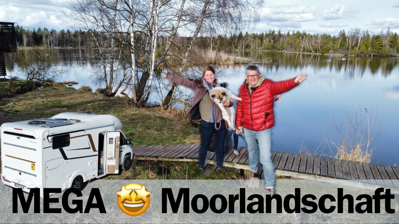 MEGA 😍 schöne Moorlandschaft Pfrungener Ried