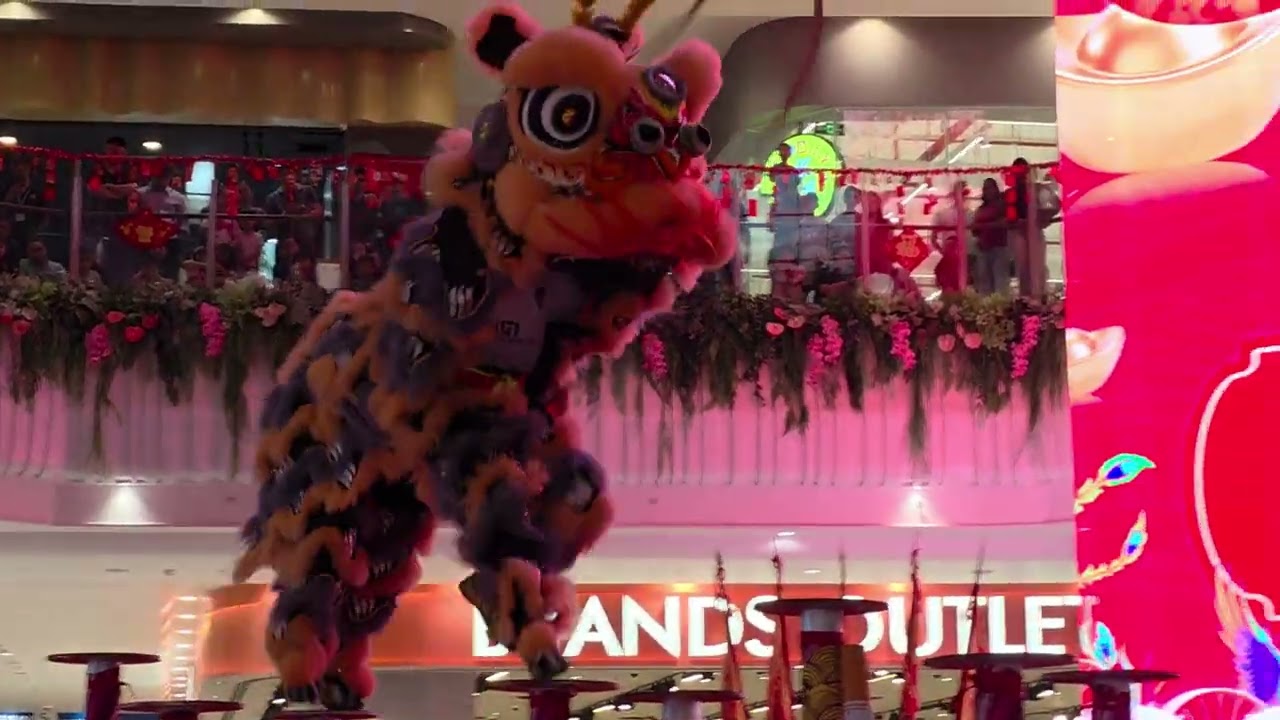 2k26 Lunar New Year | Lion Dance 
