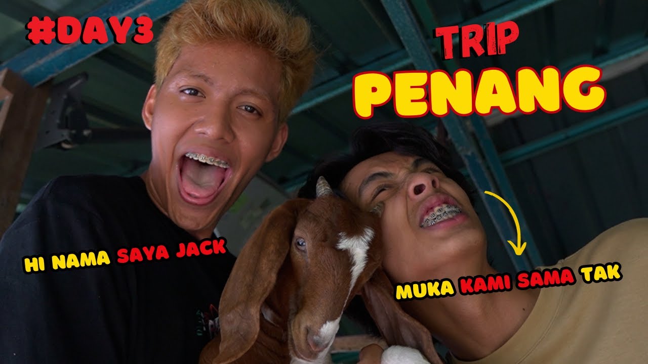DAY 3 - AMMOR DAN AIEMAN DAPAT KAWAN BARU