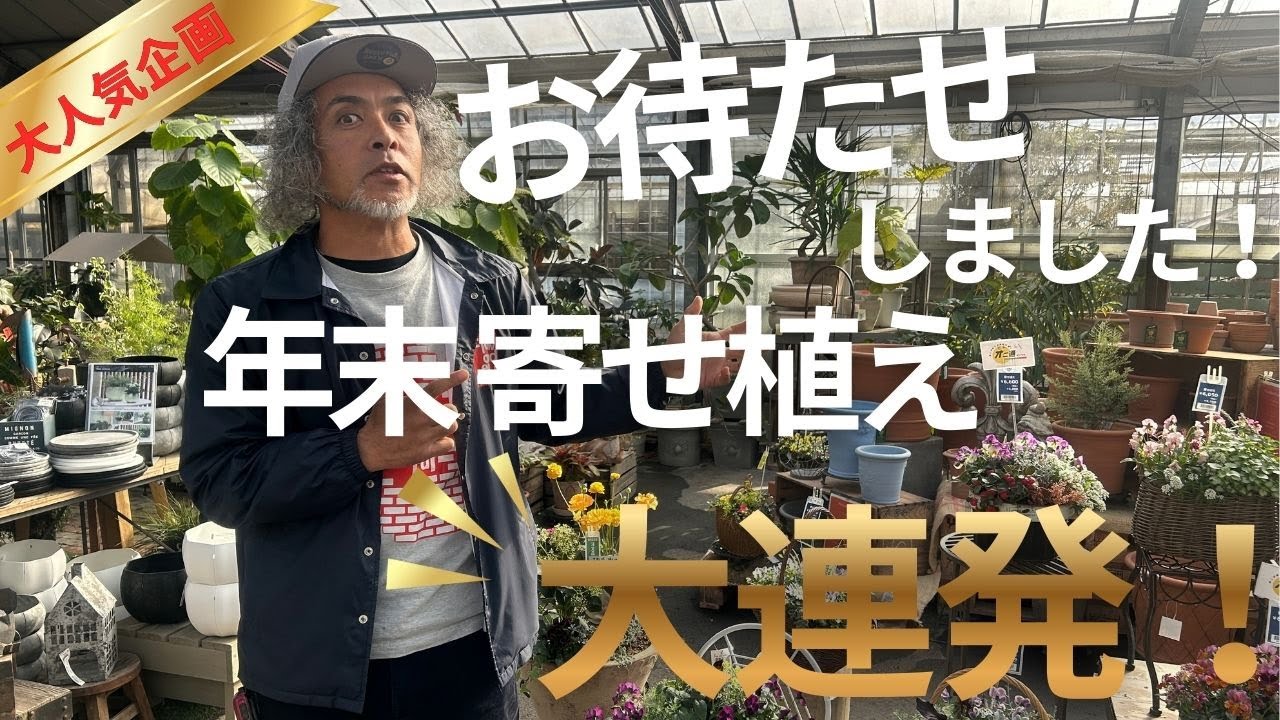 年末の今紹介したい！！！とっておきのオシャレ寄せ植え達を大連発！年末年始を華やかに♬