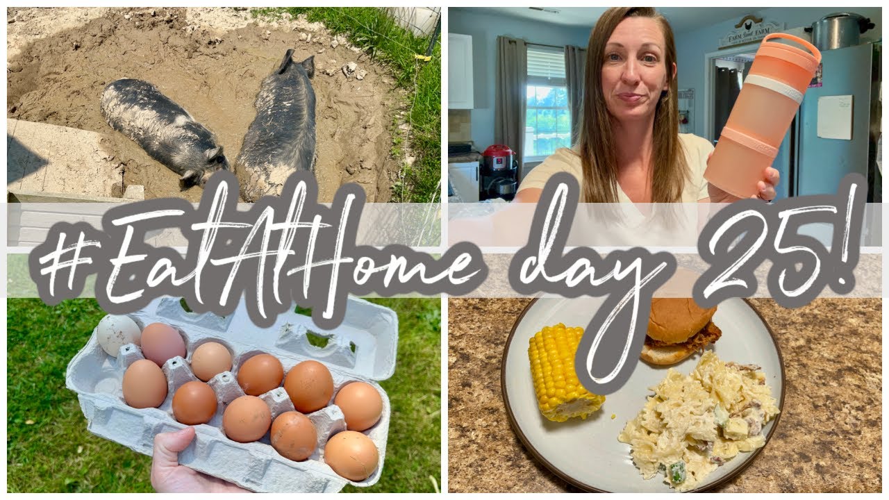 USE UP WHAT YOU'VE GOT! PORK BBQ SANDWICHES!