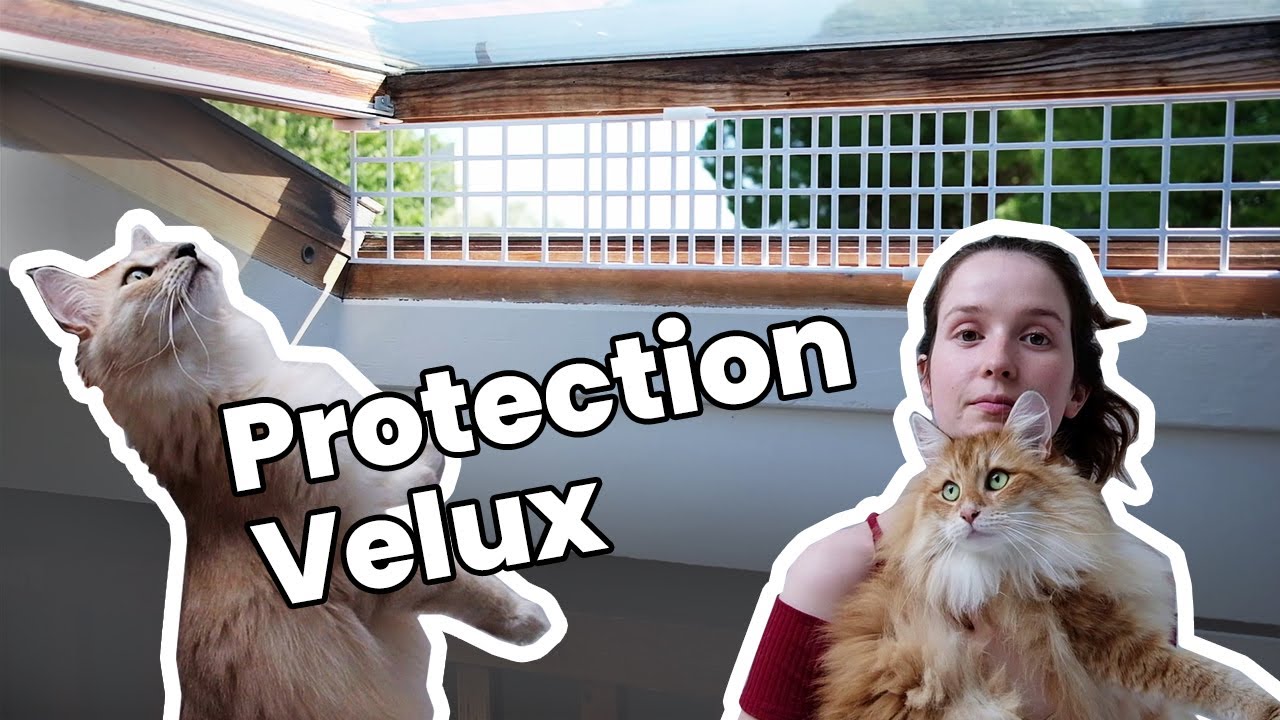 Comment sécuriser votre velux pour vos chats ?! Tutoriel facile