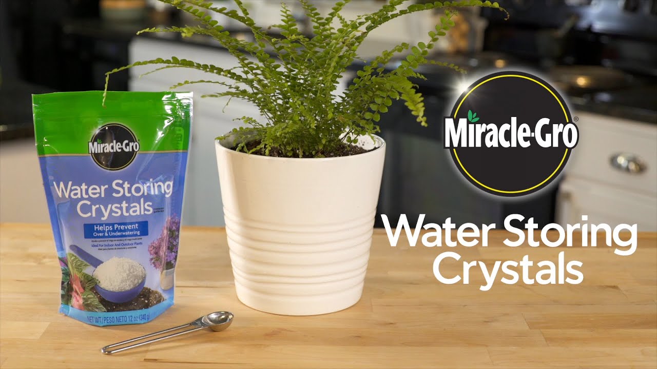 How to Protect Container Plants from Heat and Drought Using Miracle-Gro&reg; Water Storing Crystals