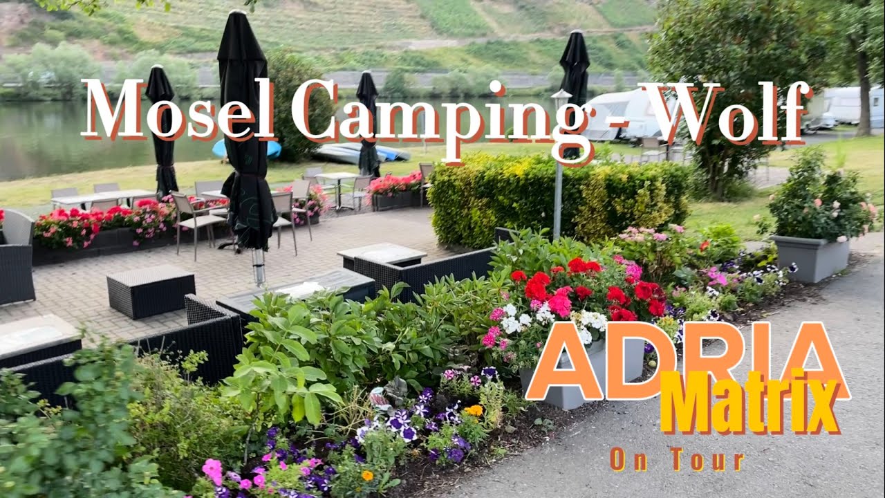 Mosel Camping 🏕️ in Wolf (Traben-Trarbach)