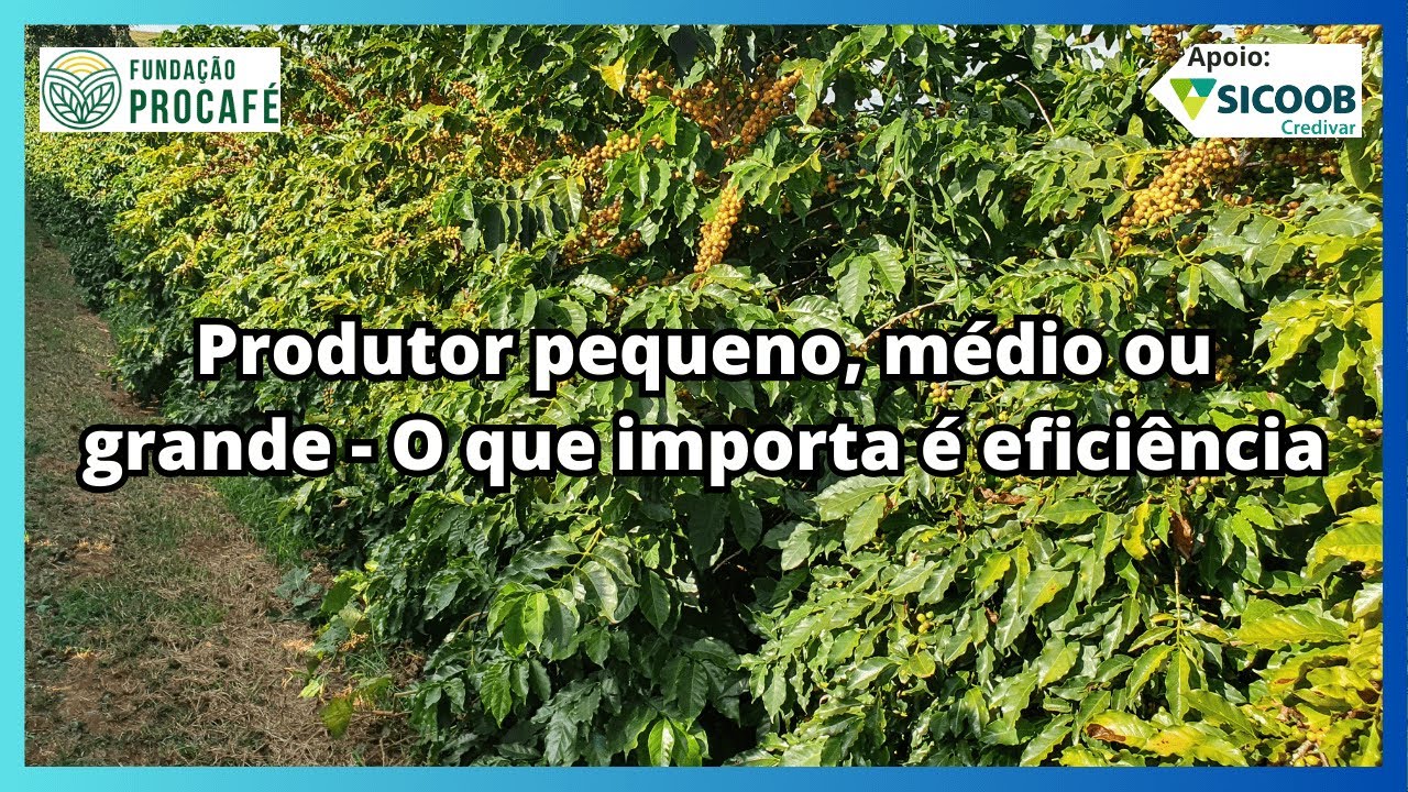 Podcast #183 - Produtor pequeno, m&eacute;dio ou grande - O que importa &eacute; efici&ecirc;ncia