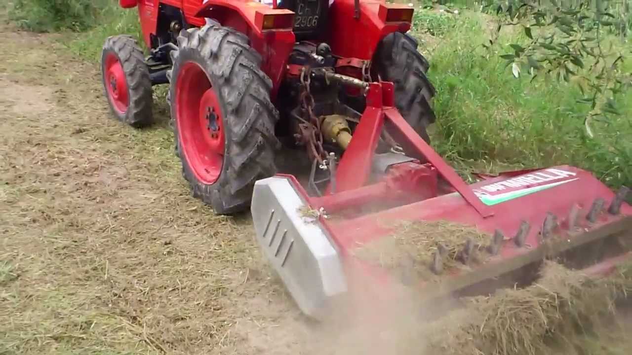 trattore same delfino 35 con trinciatutto gnagnarella 135 a martelli sotto gli ulivi