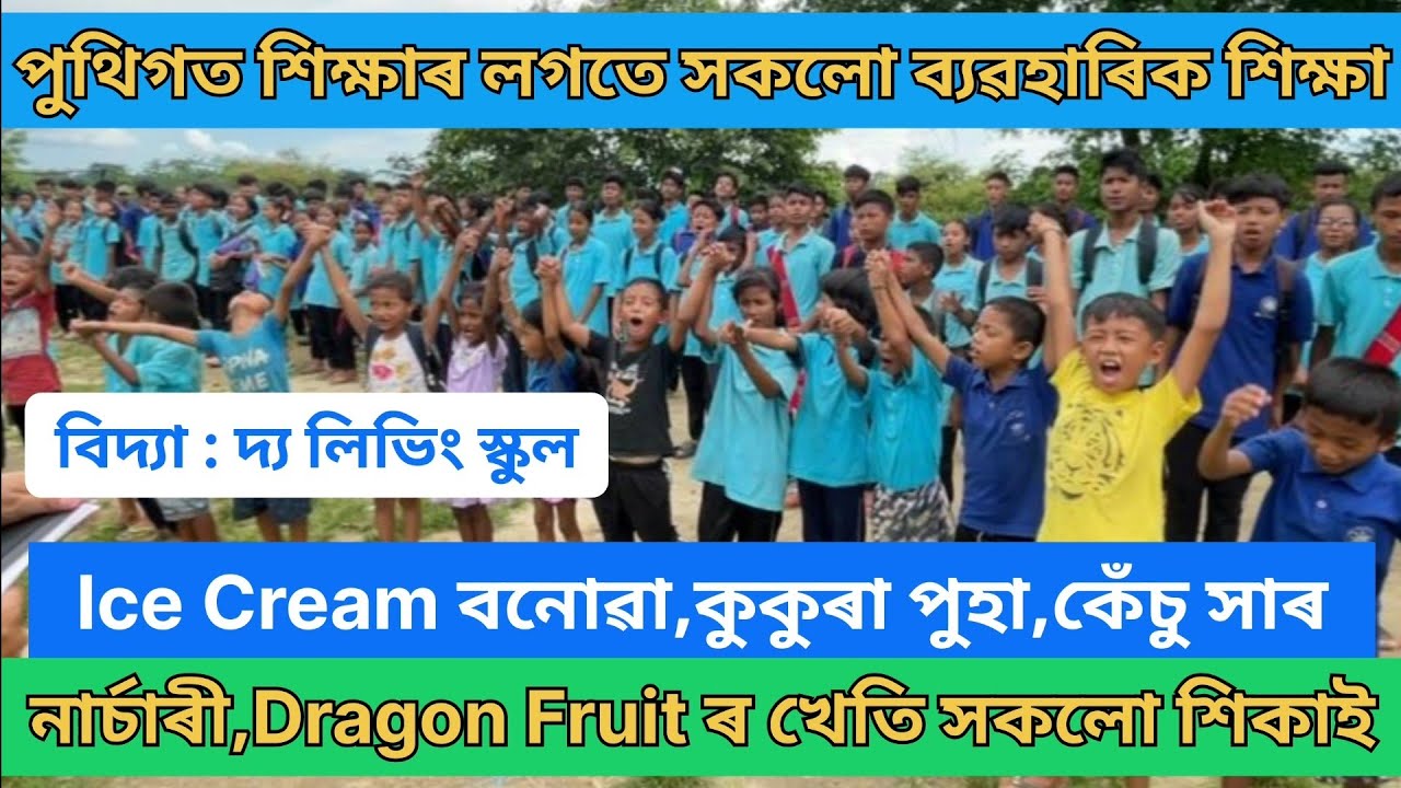 বিদ্যা : দ্য লিভিং স্কুল। School with a Difference @vidyathelivingschoolsubahi5881 #dhemaji#jibon