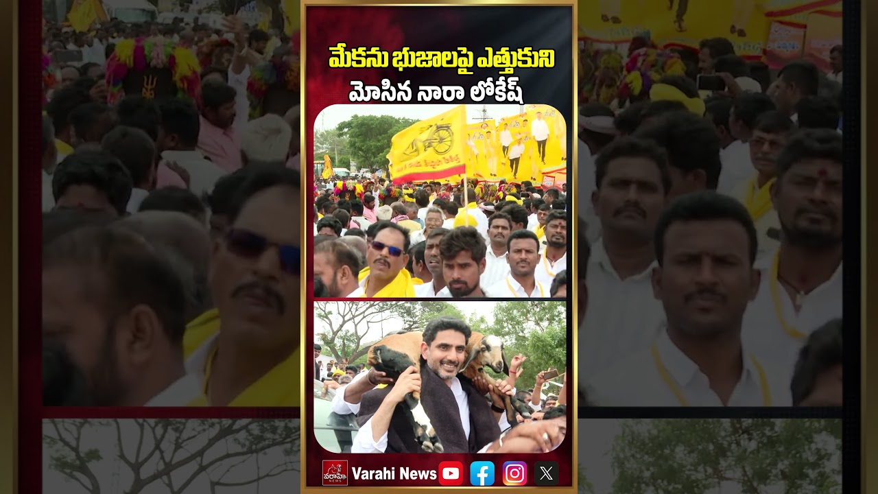 మేకను భుజాలపై ఎత్తుకుని మోసిన నారా లోకేష్ | Nara Lokesh Lifts Goat | Varahi News