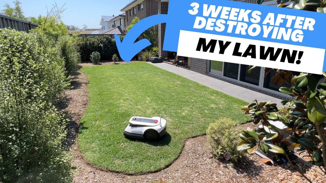3 Weeks after DESTROYING My Lawn and a look at the Ecovacs Goat G1 Robot Mower