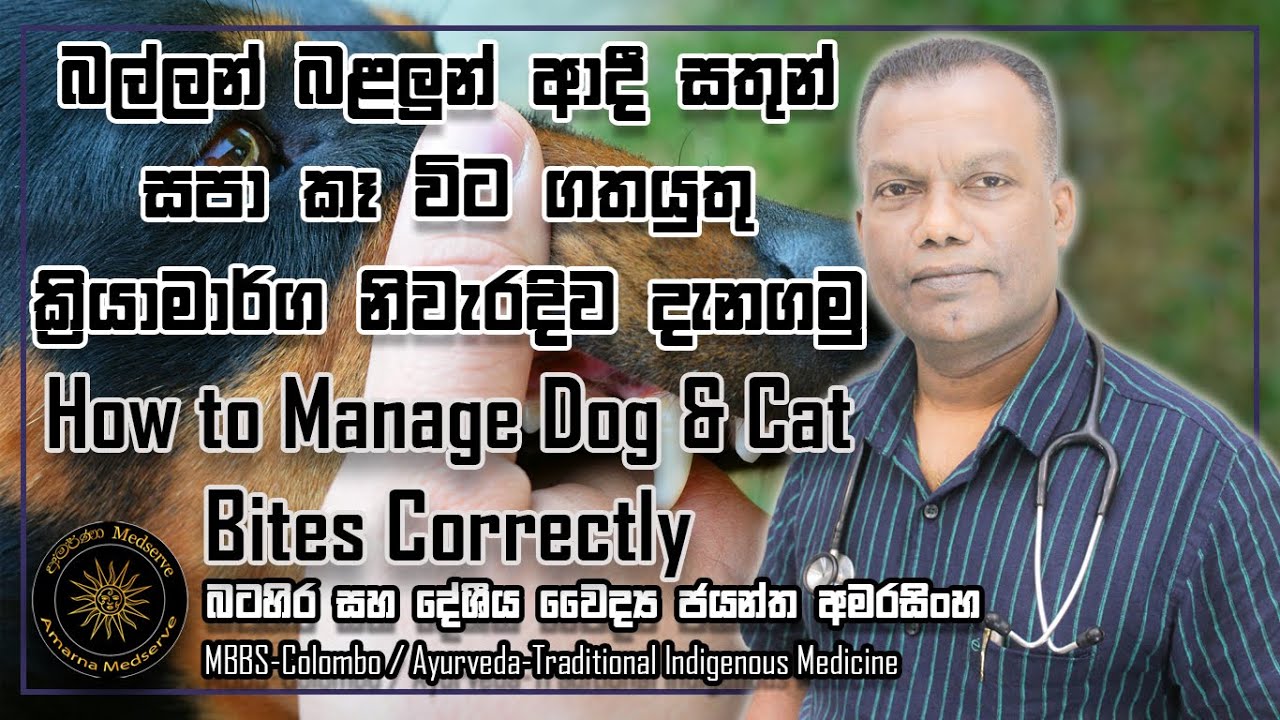බල්ලන් බළලුන් ආදී සතුන් සපා කෑ විට ගතයුතු ක්‍රියාමාර්ග නිවැරැදිව දැනගමු
