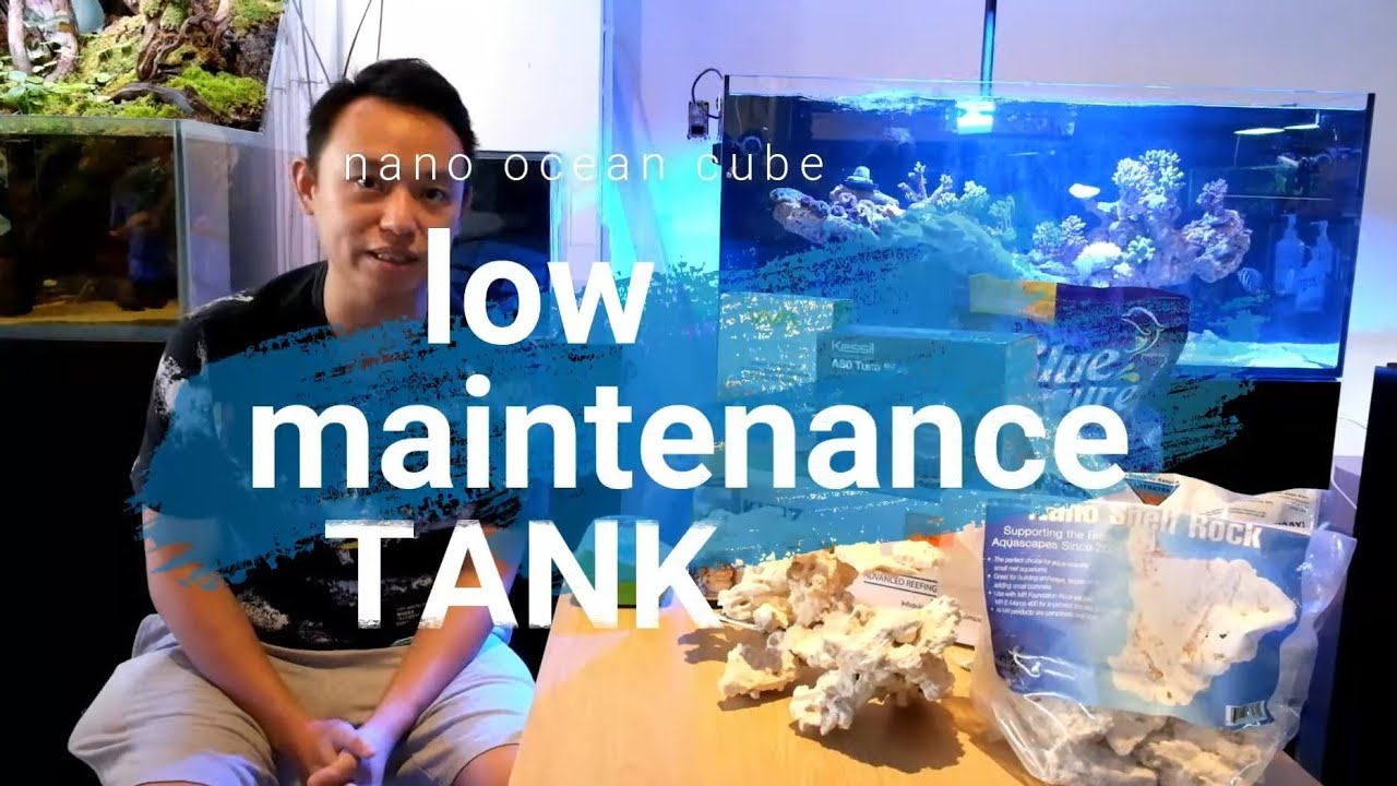 SET UP NANO REEF TANK MURAH MERIAH & LOW MAINTENANCE COCOK UNTUK MULAI NIH