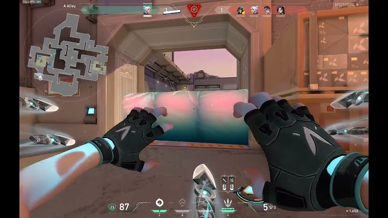 1vs5
