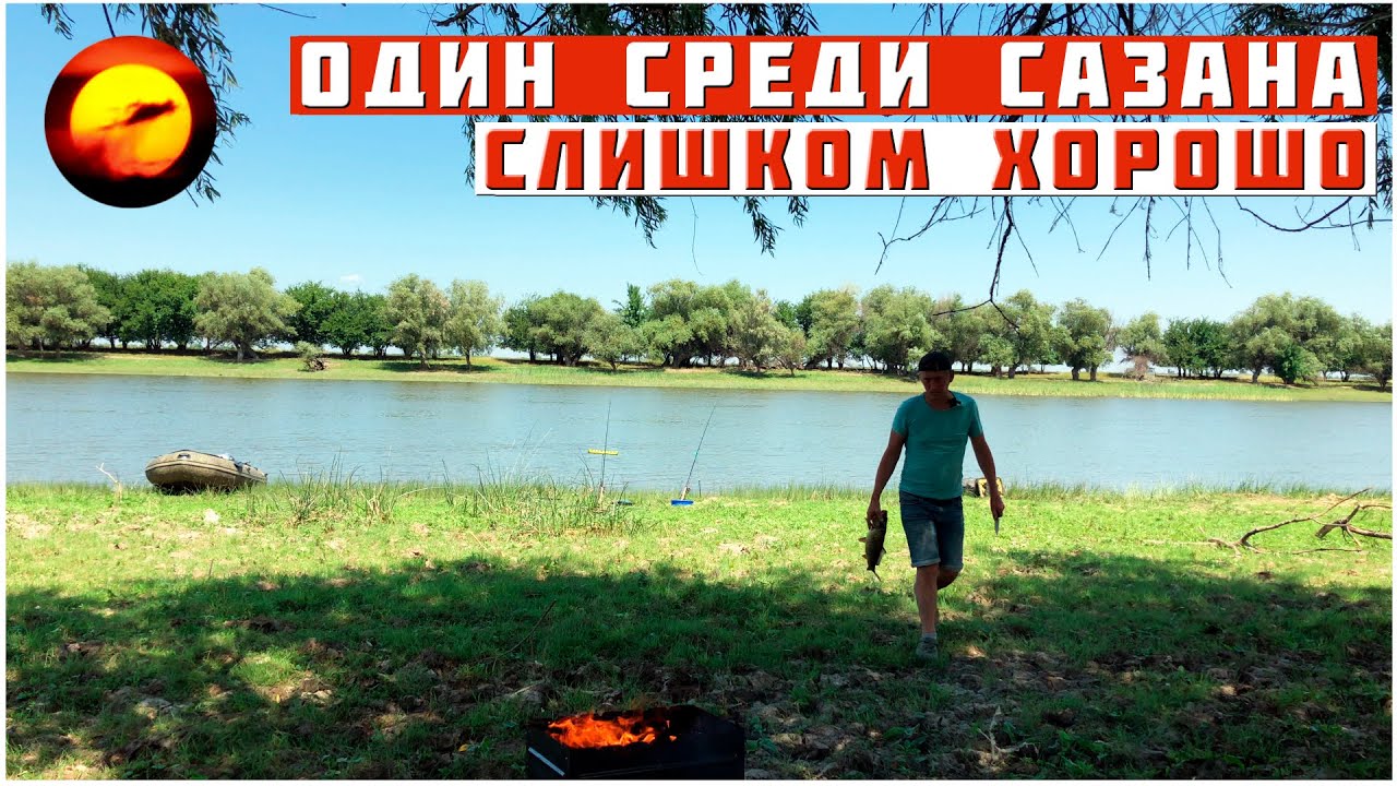 ОДИН СРЕДИ САЗАНА / СЛИШКОМ ХОРОШО НА РЫБАЛКЕ