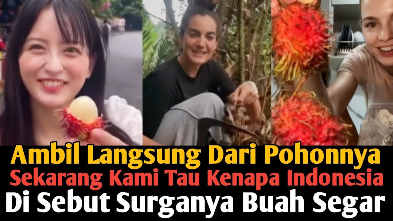 Bule Kaget Di Indonesia Pertana Kali Ngerasain Buah Segar Langsung
