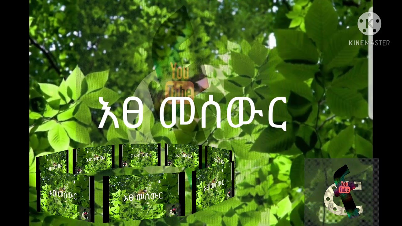 የጥበብ እፅ አንዷ// #እፀ-መሰውር//