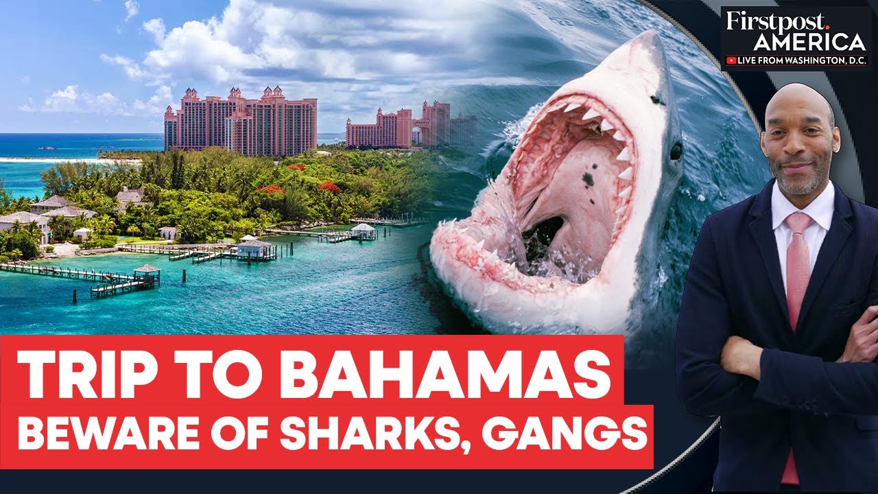 US Issues Bahamas Travel Warning Over Gang Violence and Shark Attacks | Firstpost America | N18G