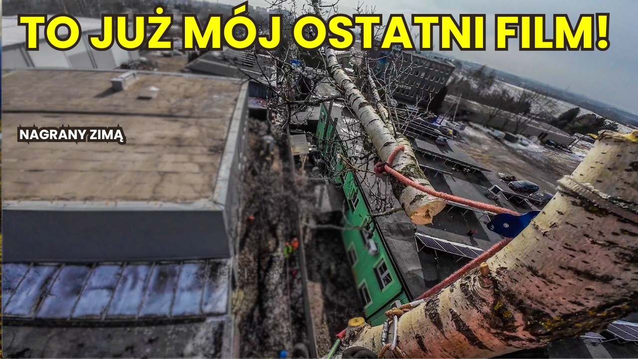 Alpinistyczna Wycinka Topoli - OSTATNI FILM... nagrany zimą!