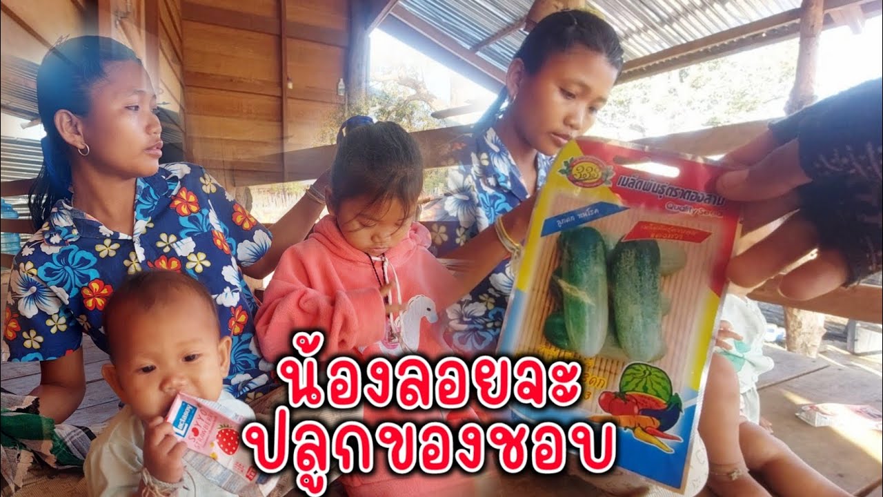 น้องลอยอยากมีอยากปลูกบ่าวนงเเมล็ดมาฝาก