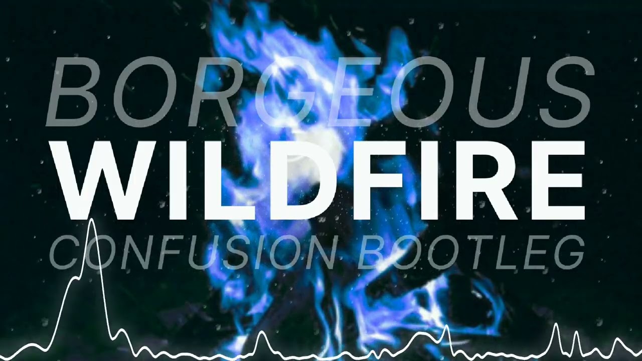 Borgeous - Wildfire (confusion bootleg)