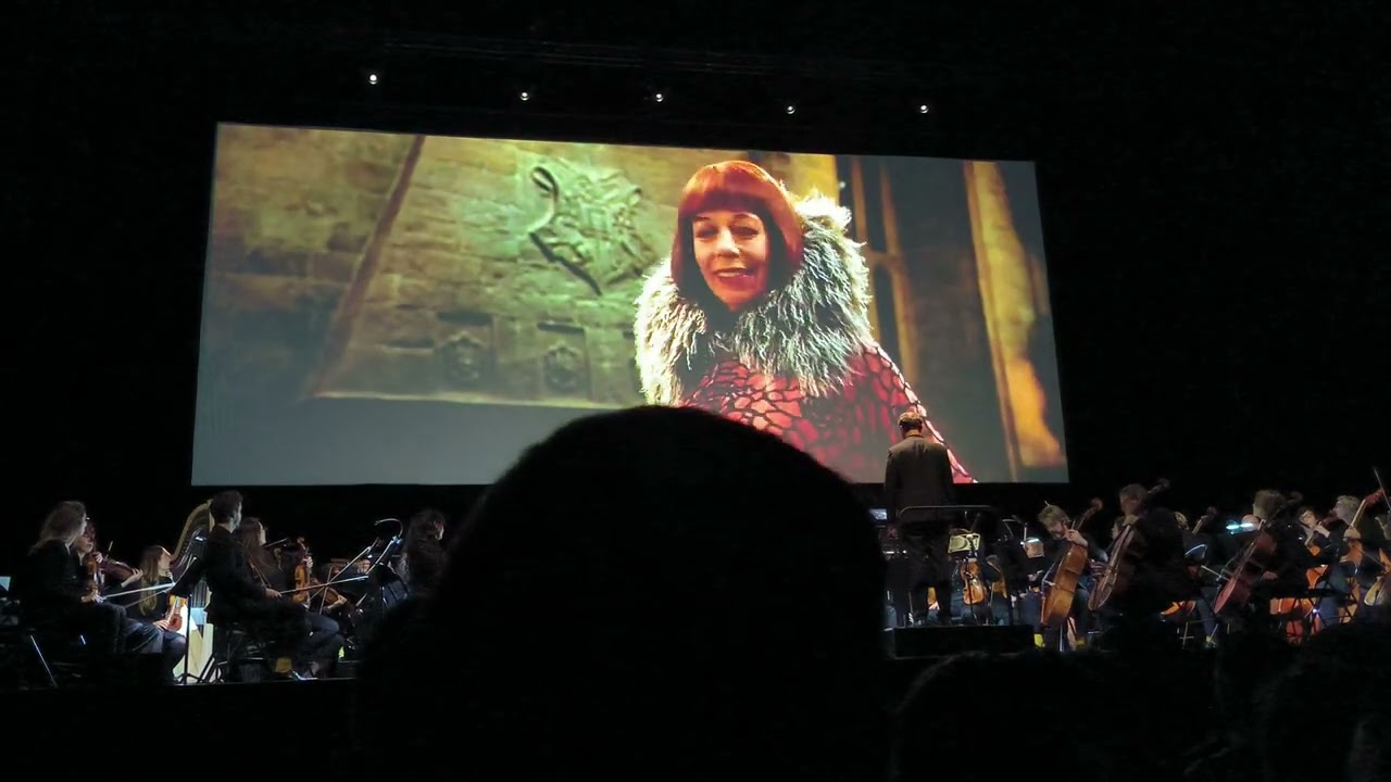 Harry Potter & The Goblet Of Fire - Zenith Toulouse (2024)