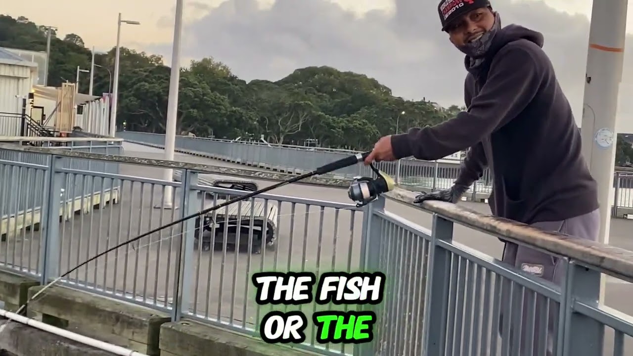 What a lucky day ! Catches heaps of Fish