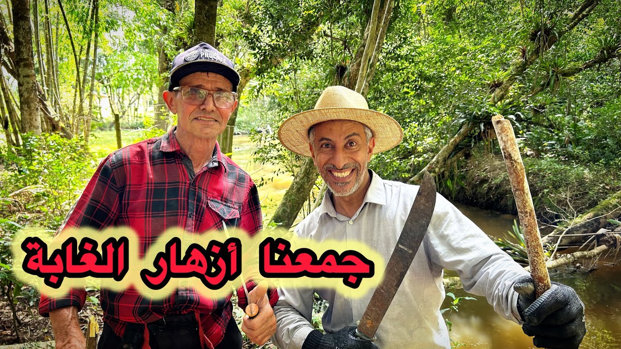 جارت جيري صارت جارتنا / زرناها و ساعدناها في زراعة القهوة 