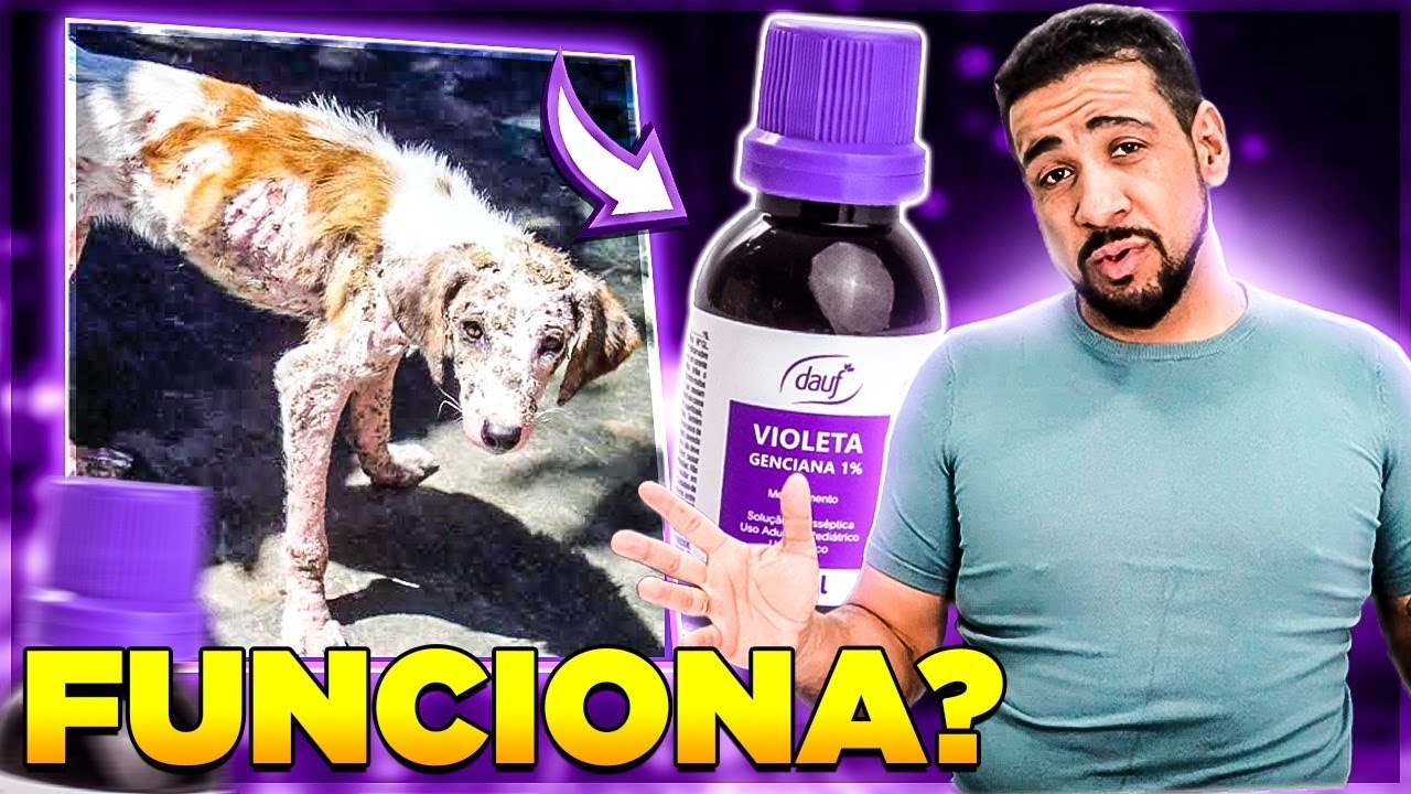 VIOLETA GENCIANA FUNCIONA PARA COCEIRAS EM ANIMAIS?