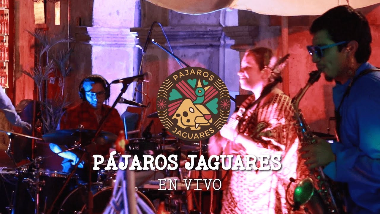 Pájaros Jaguares en vivo - Presentación del disco Soy Raíz - Selina Aqp 20/07/24
