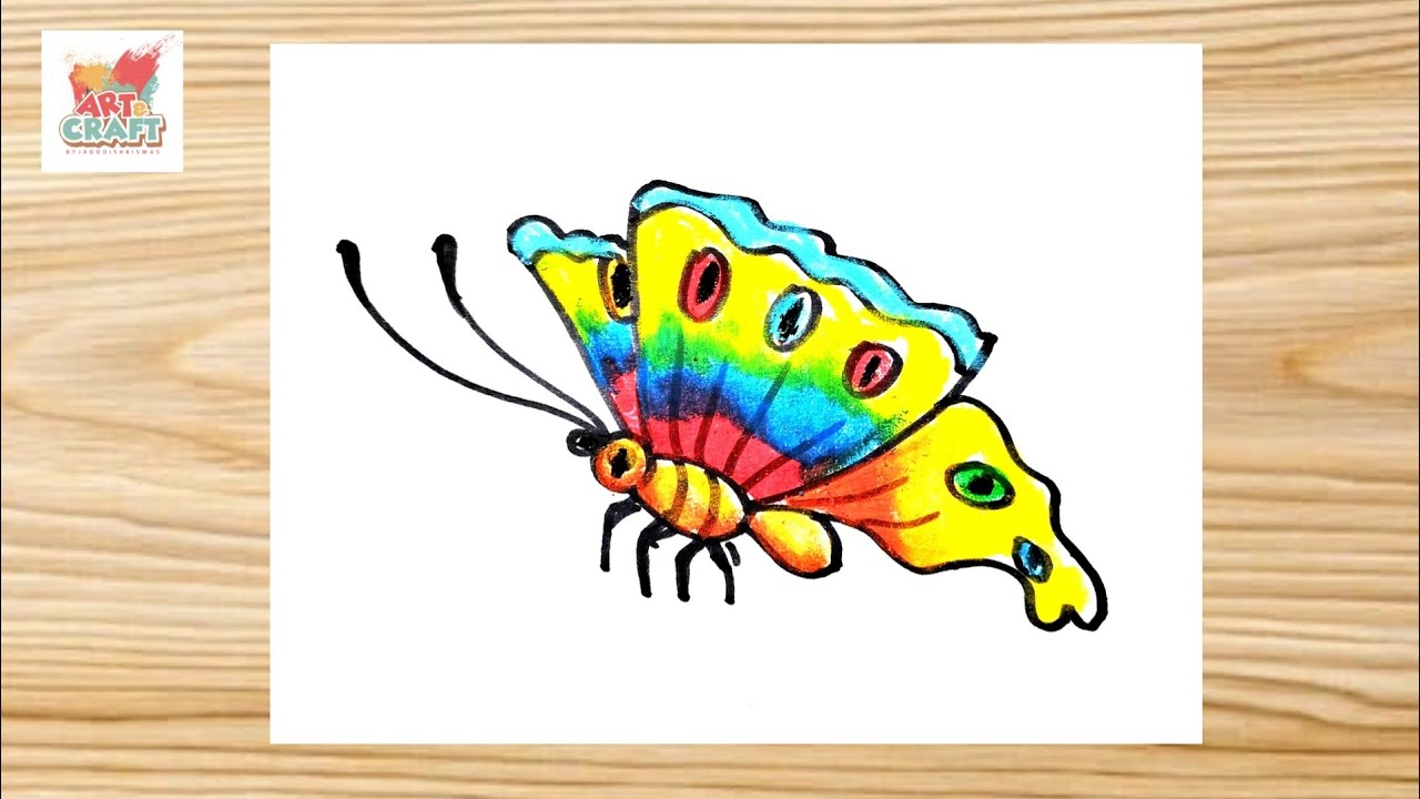 প্রজাপতি রং করার  সহজ কৌশল / How to draw a Butterfly step by step colour 