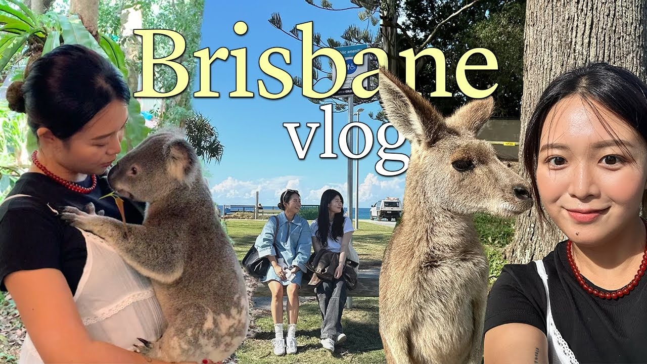 나의 첫 호주 브리즈번 🦘🐨🌴 l 론파인생츄어리 l 골드코스트 l 쿨랑가타 당일치기