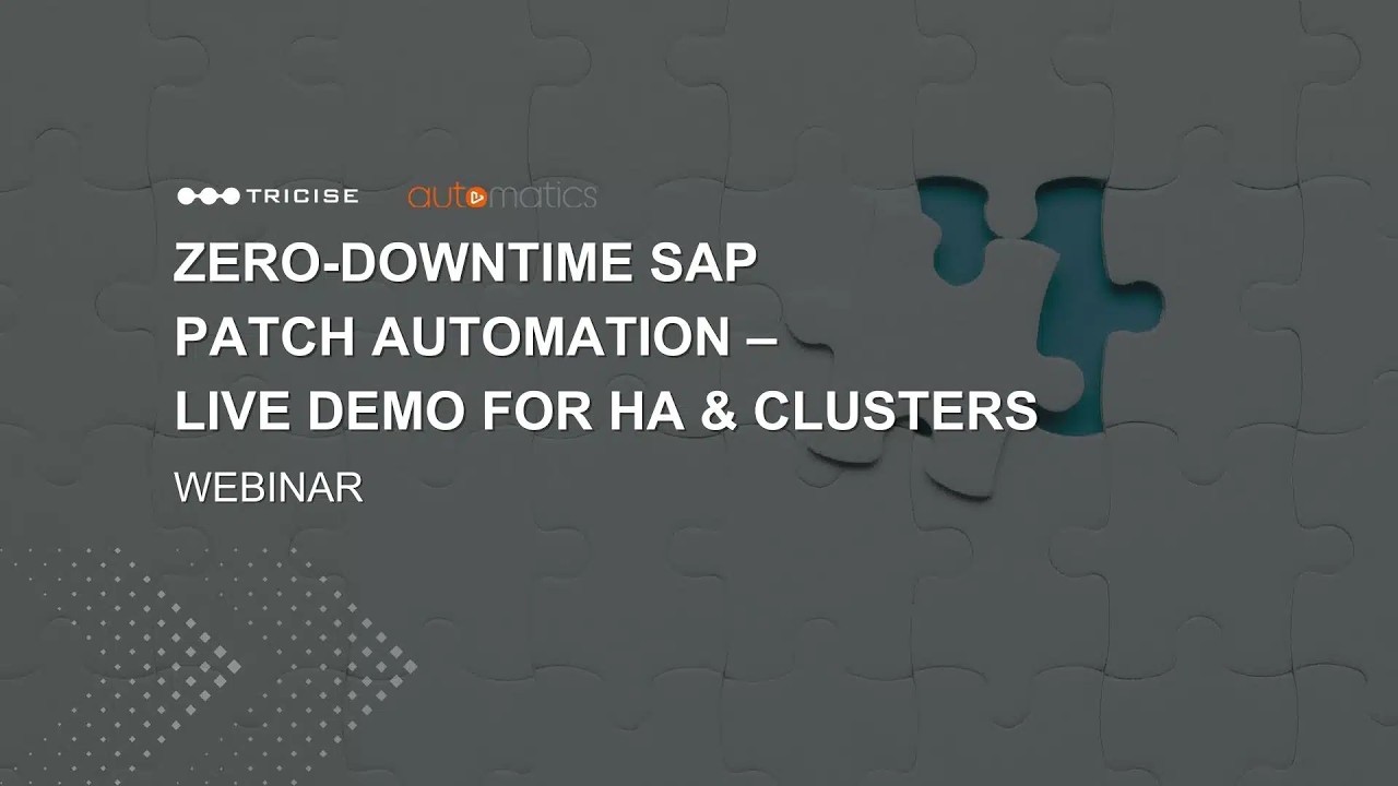 Zero-Downtime SAP Patch Automation – ​​​​​​​Live Demo for HA & Clusters [24.02.2026] – German