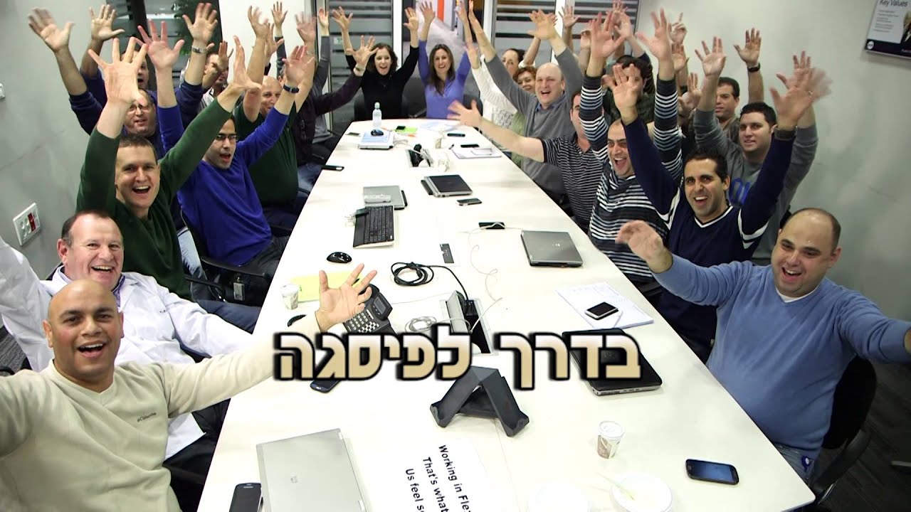 פלקסטרוניקס  FLEX