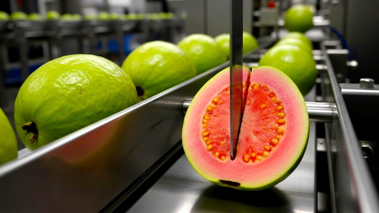 Inside a Modern Guava Processing Factory: From Fresh Guavas to Packaged Products