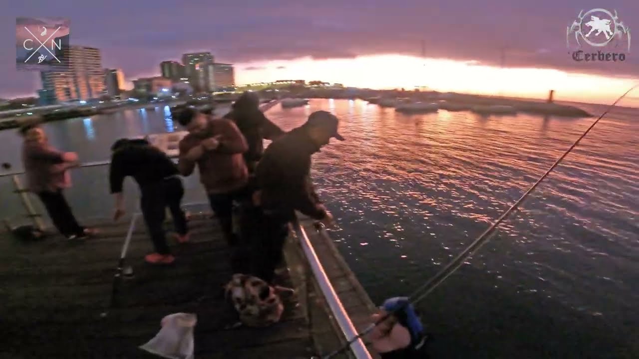 Pesca Ultraligera Muelle Histórico Antofagasta