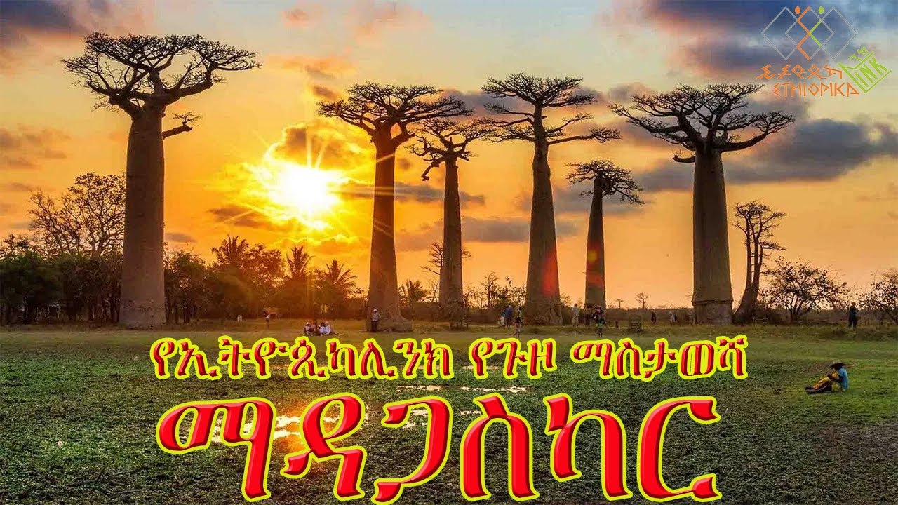 የኢትዮጲካሊንክ የጉዞ ማስታወሻ - ማዳጋስካር