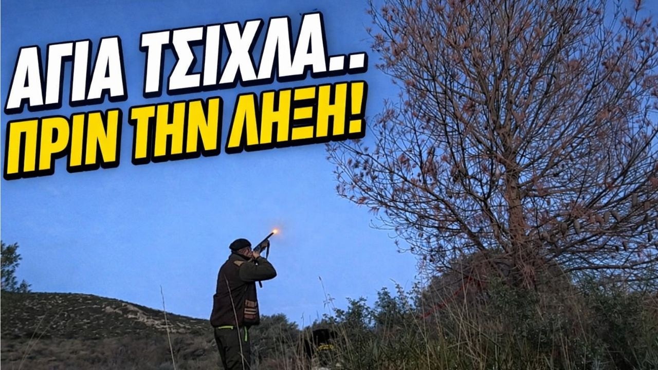 ΔΥΣΚΟΛΕΣ ΤΟΥΦΕΚΙΕΣ & ΩΡΑΙΑ ΑΠΟΡΤ ΣΕ ΔΥΣΒΑΤΑ ΣΗΜΕΙΑ #springerspaniel #κυνήγι #hunting #tordo #caccia