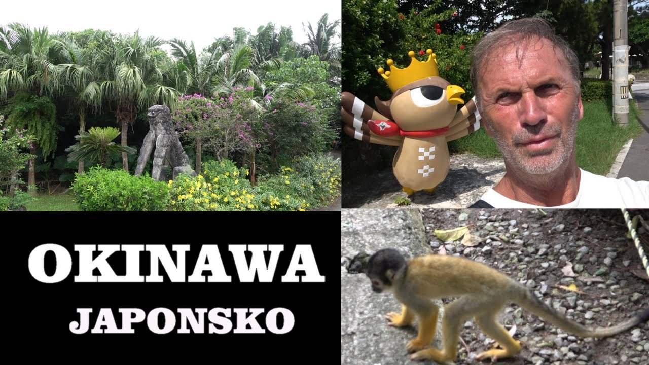 OKINAWA -   ISHIGAKI  ISLAND / JAPONSKO /
