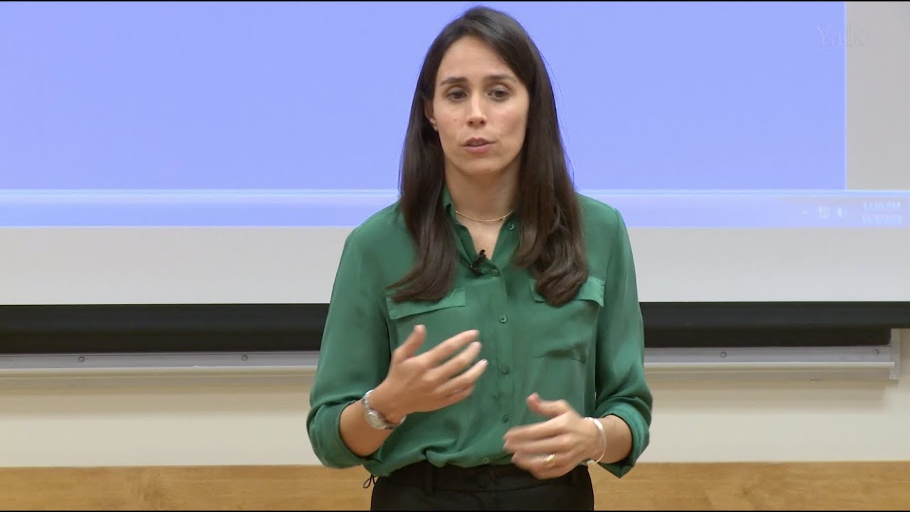 Investigative Journalism & Democracy in Turbulent Times