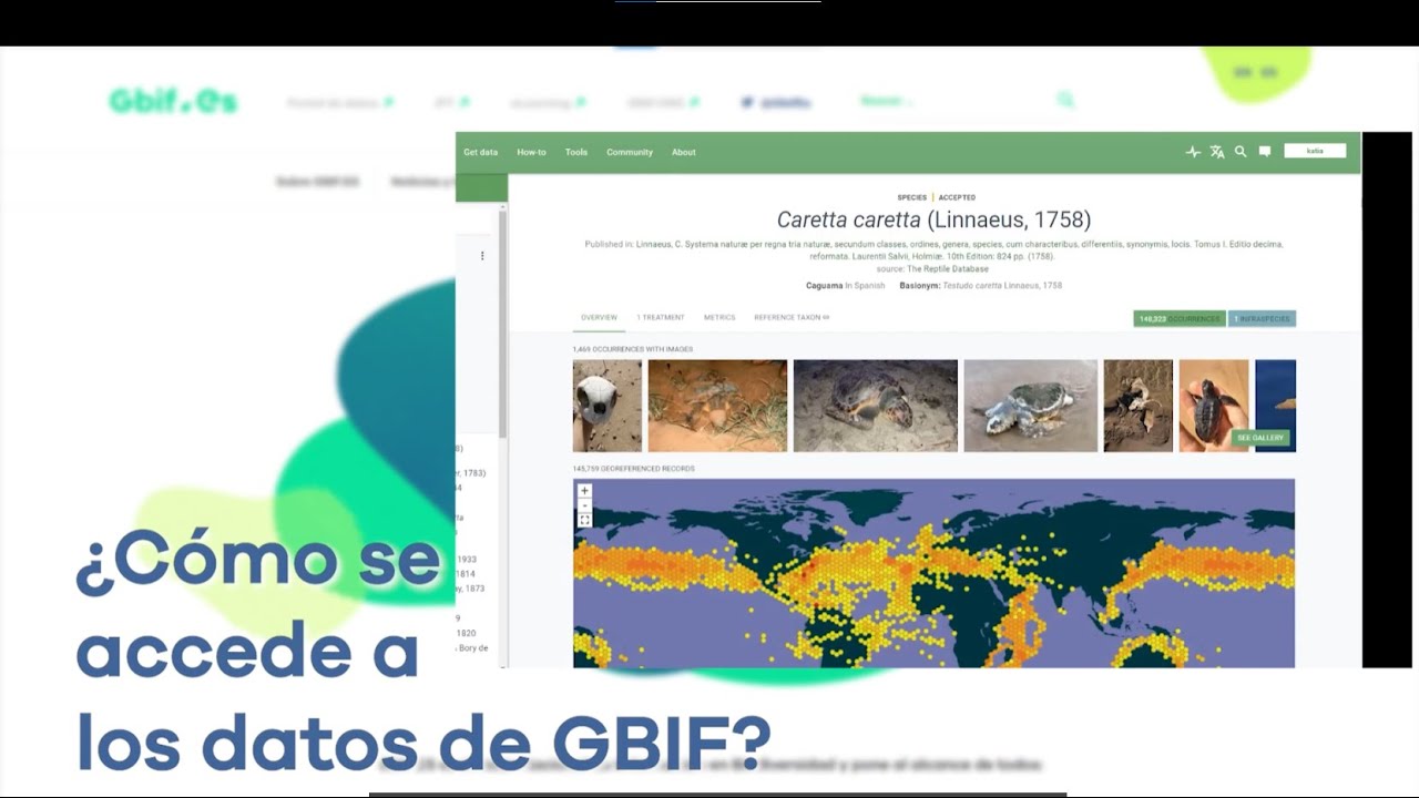 Qué hacemos en GBIF España