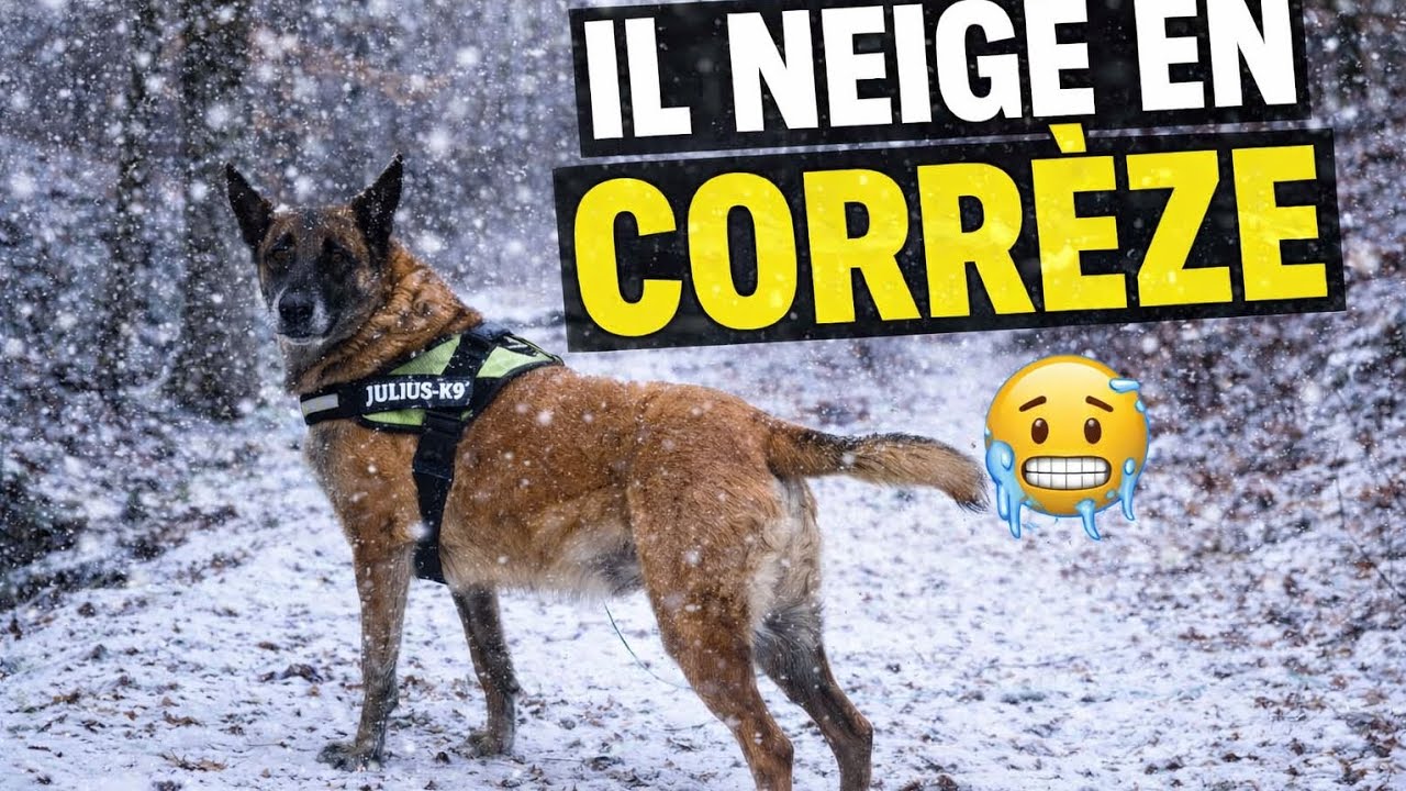 On se réveille sous la neige : 3°dans le van #vivreenvan