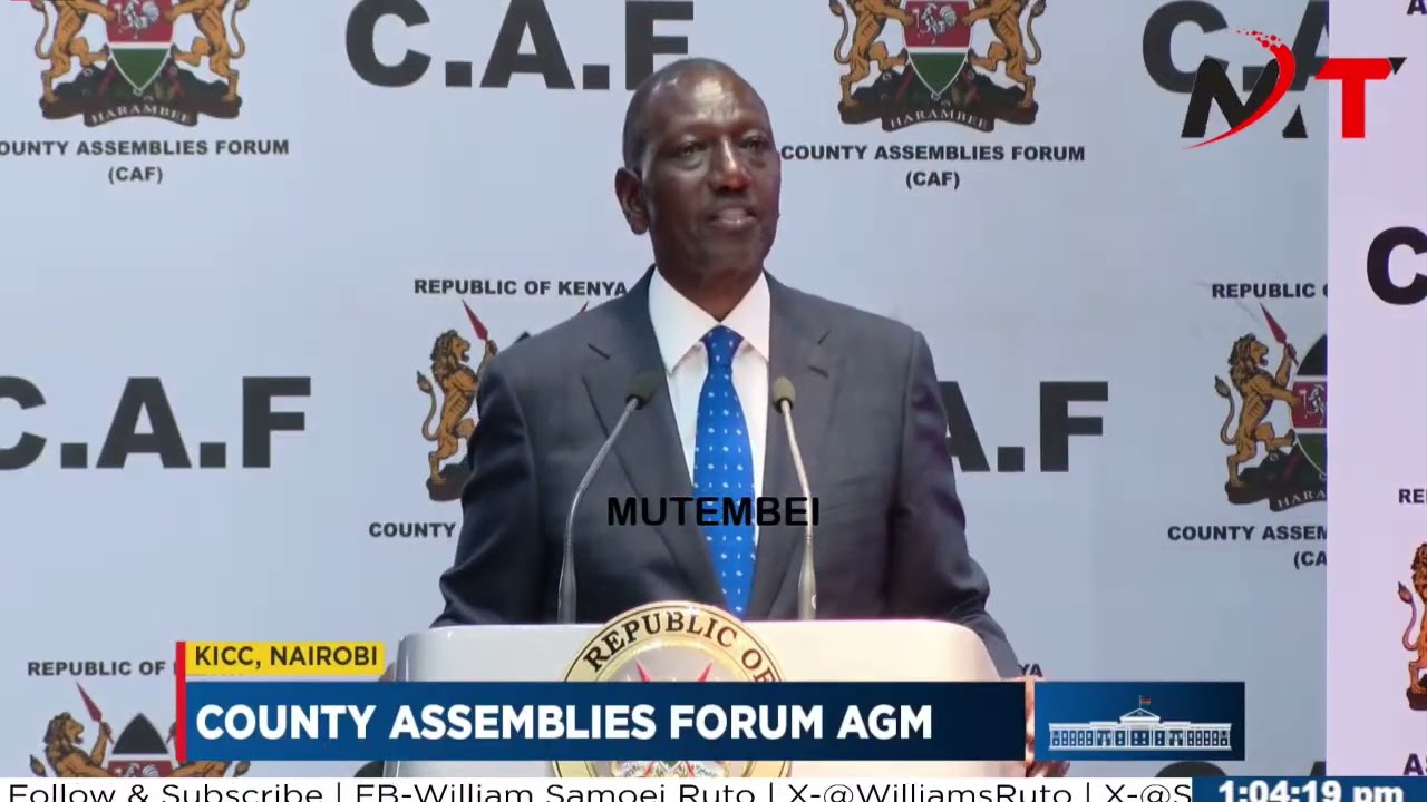 RAIA WAKISKIA UNASEMA WANTAM KWANZA WANAKUAMBIA WANAANZA NA WEWE, RUTO TO MCAs