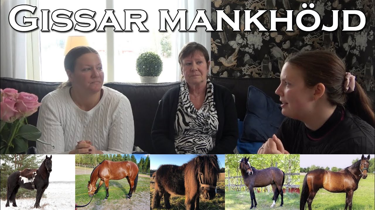 Vi gissar MANKHÖJDEN på ERA hästar ♥