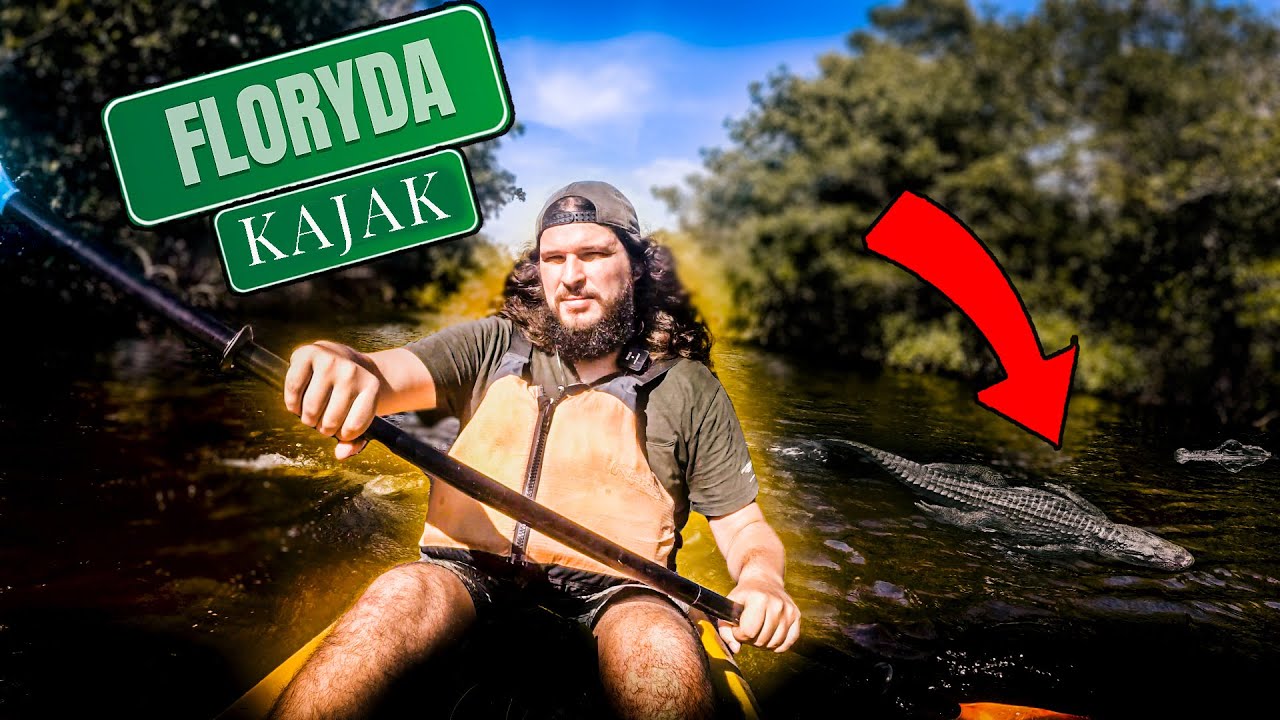 Everglades, Floryda - jak zwiedzać? | USA