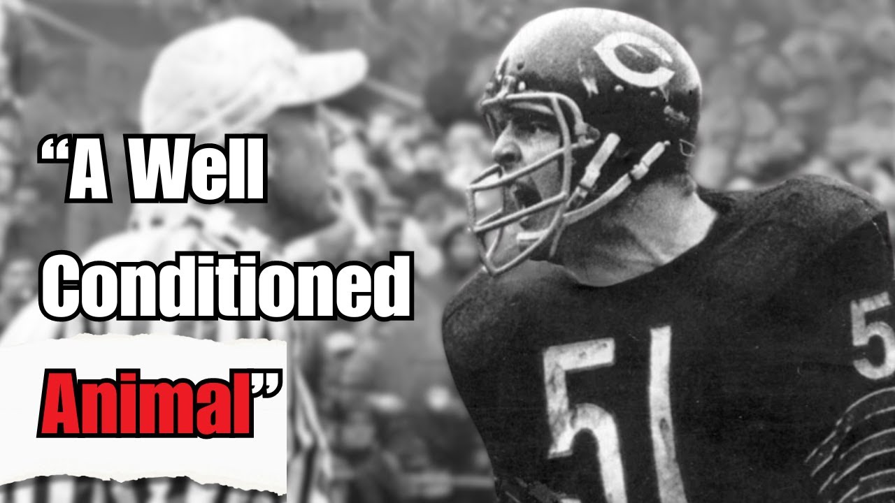 The Hardest Hitter in NFL History