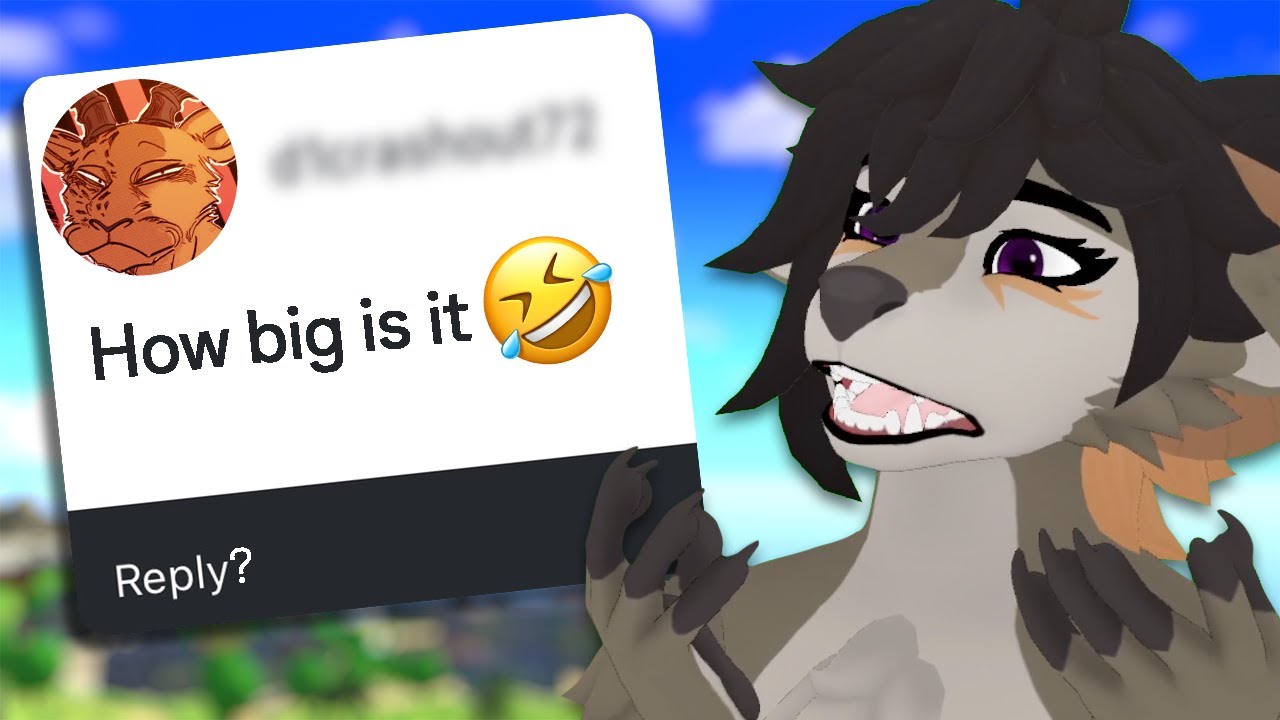 These Furries Asked me WHAT??