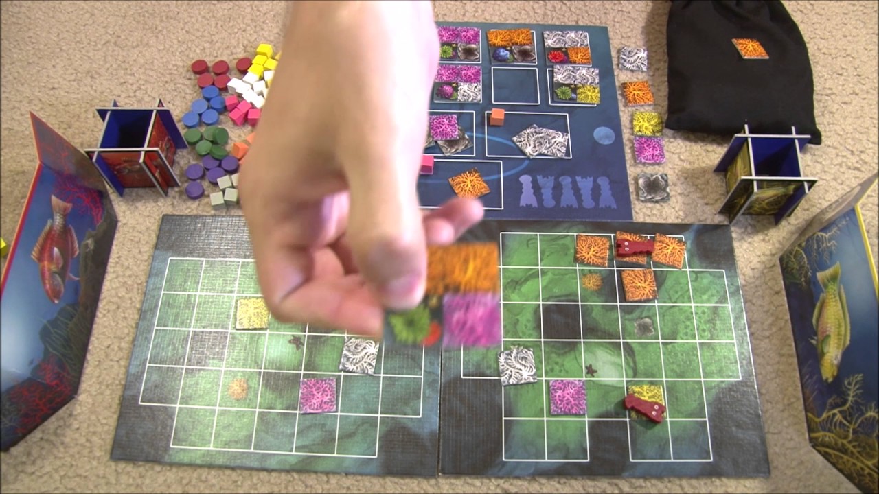 Game Fondue Reviews: Reef Encounter